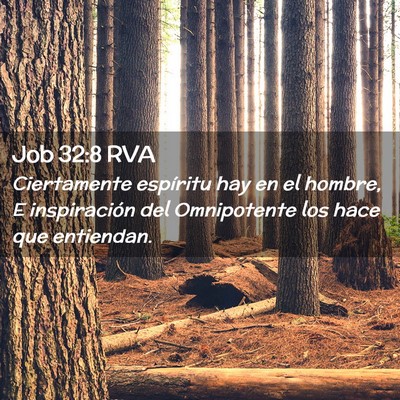 Picture 02 - Job 32:8 RVA - Ciertamente espíritu hay en el hombre, E - Bible Verse Picture