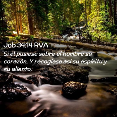 Picture 02 - Job 34:14 RVA - Si él pusiese sobre el hombre su corazón, Y - Bible Verse Picture