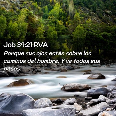 Picture 02 - Job 34:21 RVA - Porque sus ojos están sobre los caminos del - Bible Verse Picture