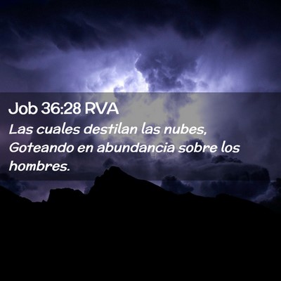 Picture 02 - Job 36:28 RVA - Las cuales destilan las nubes, Goteando en - Bible Verse Picture