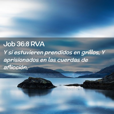 Picture 02 - Job 36:8 RVA - Y si estuvieren prendidos en grillos, Y - Bible Verse Picture