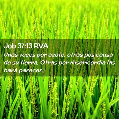 Picture 02 - Job 37:13 RVA - Unas veces por azote, otras pos causa de su - Bible Verse Picture