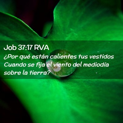 Picture 02 - Job 37:17 RVA - ¿Por qué están calientes tus vestidos Cuando - Bible Verse Picture