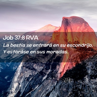 Picture 02 - Job 37:8 RVA - La bestia se entrará en su escondrijo, Y - Bible Verse Picture