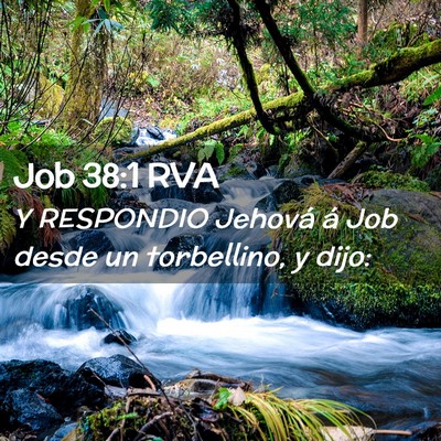 Picture 02 - Job 38:1 RVA - Y RESPONDIO Jehová á Job desde un torbellino, y - Bible Verse Picture