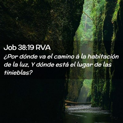 Picture 02 - Job 38:19 RVA - ¿Por dónde va el camino á la habitación de la - Bible Verse Picture