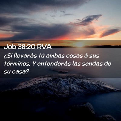Picture 02 - Job 38:20 RVA - ¿Si llevarás tú ambas cosas á sus términos, - Bible Verse Picture