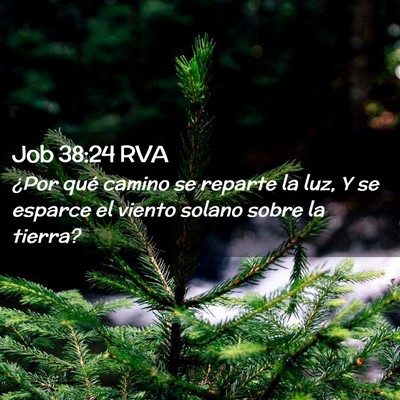 Picture 02 - Job 38:24 RVA - ¿Por qué camino se reparte la luz, Y se esparce - Bible Verse Picture