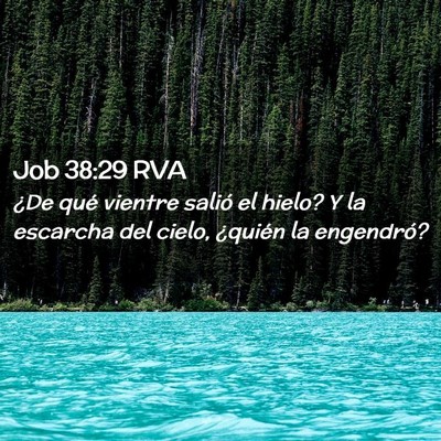Picture 02 - Job 38:29 RVA - ¿De qué vientre salió el hielo? Y la escarcha - Bible Verse Picture