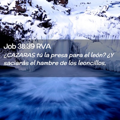 Picture 02 - Job 38:39 RVA - ¿CAZARAS tú la presa para el león? ¿Y - Bible Verse Picture