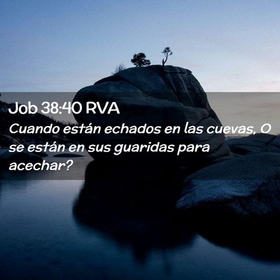 Picture 02 - Job 38:40 RVA - Cuando están echados en las cuevas, O se están - Bible Verse Picture