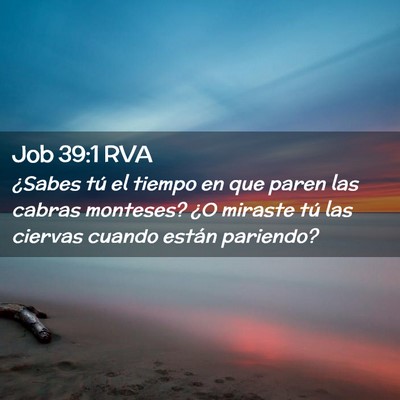 Picture 02 - Job 39:1 RVA - ¿Sabes tú el tiempo en que paren las cabras - Bible Verse Picture
