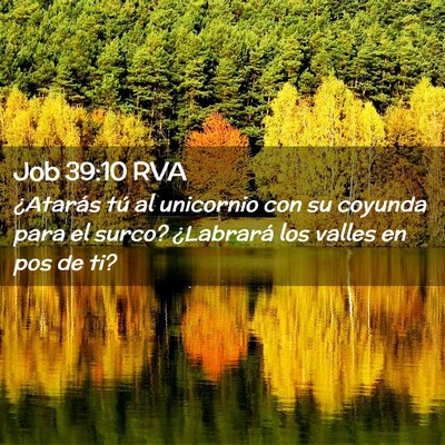 Picture 02 - Job 39:10 RVA - ¿Atarás tú al unicornio con su coyunda para el - Bible Verse Picture