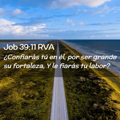 Picture 02 - Job 39:11 RVA - ¿Confiarás tú en él, por ser grande su - Bible Verse Picture