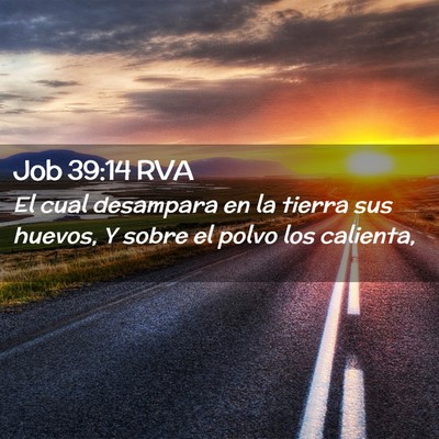 Picture 02 - Job 39:14 RVA - El cual desampara en la tierra sus huevos, Y - Bible Verse Picture