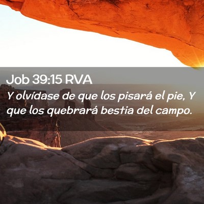 Picture 02 - Job 39:15 RVA - Y olvídase de que los pisará el pie, Y que los - Bible Verse Picture