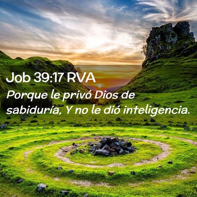 Picture 02 - Job 39:17 RVA - Porque le privó Dios de sabiduría, Y no le dió - Bible Verse Picture
