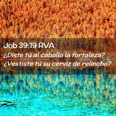 Picture 02 - Job 39:19 RVA - ¿Diste tú al caballo la fortaleza? ¿Vestiste - Bible Verse Picture