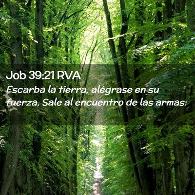 Picture 02 - Job 39:21 RVA - Escarba la tierra, alégrase en su fuerza, Sale - Bible Verse Picture