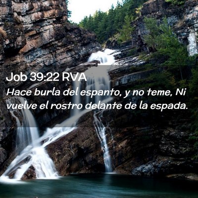Picture 02 - Job 39:22 RVA - Hace burla del espanto, y no teme, Ni vuelve el - Bible Verse Picture