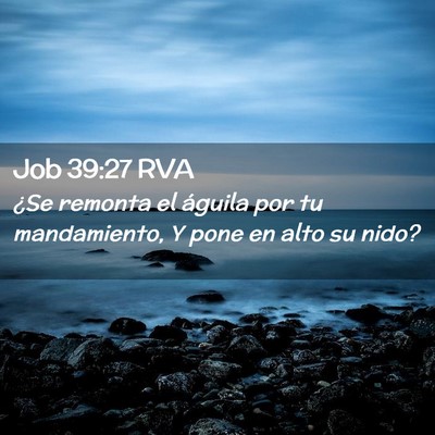 Picture 02 - Job 39:27 RVA - ¿Se remonta el águila por tu mandamiento, Y - Bible Verse Picture