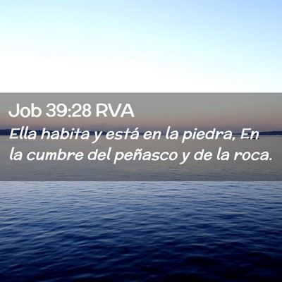 Picture 02 - Job 39:28 RVA - Ella habita y está en la piedra, En la cumbre - Bible Verse Picture