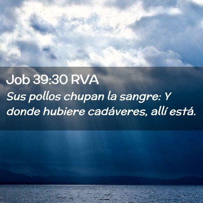 Picture 02 - Job 39:30 RVA - Sus pollos chupan la sangre: Y donde hubiere - Bible Verse Picture