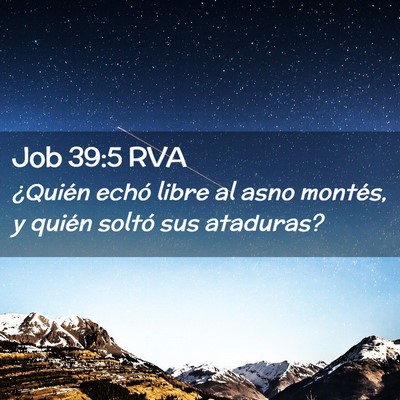 Picture 02 - Job 39:5 RVA - ¿Quién echó libre al asno montés, y quién - Bible Verse Picture