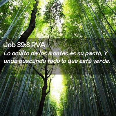 Picture 02 - Job 39:8 RVA - Lo oculto de los montes es su pasto, Y anda - Bible Verse Picture