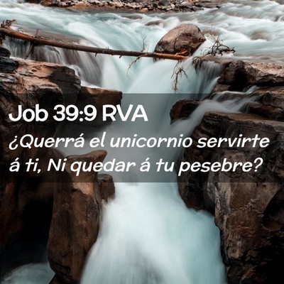 Picture 02 - Job 39:9 RVA - ¿Querrá el unicornio servirte á ti, Ni quedar - Bible Verse Picture
