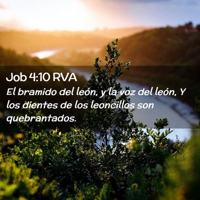 Picture 02 - Job 4:10 RVA - El bramido del león, y la voz del león, Y los - Bible Verse Picture