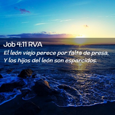 Picture 02 - Job 4:11 RVA - El león viejo perece por falta de presa, Y los - Bible Verse Picture