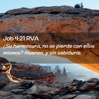 Picture 02 - Job 4:21 RVA - ¿Su hermosura, no se pierde con ellos mismos? - Bible Verse Picture