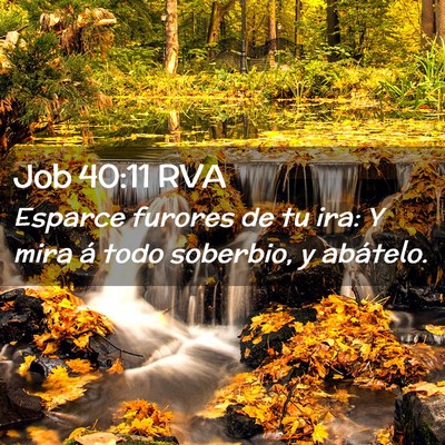 Picture 02 - Job 40:11 RVA - Esparce furores de tu ira: Y mira á todo - Bible Verse Picture