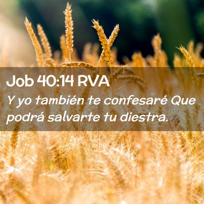 Picture 02 - Job 40:14 RVA - Y yo también te confesaré Que podrá salvarte - Bible Verse Picture