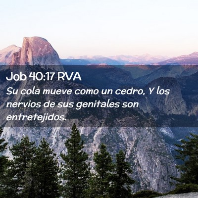 Picture 02 - Job 40:17 RVA - Su cola mueve como un cedro, Y los nervios de sus - Bible Verse Picture
