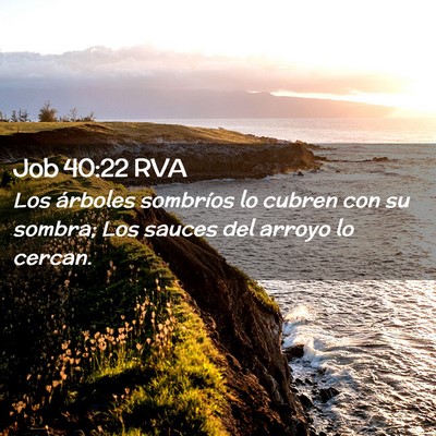 Picture 02 - Job 40:22 RVA - Los árboles sombríos lo cubren con su sombra; - Bible Verse Picture