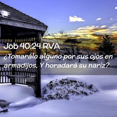 Picture 02 - Job 40:24 RVA - ¿Tomarálo alguno por sus ojos en armadijos, Y - Bible Verse Picture