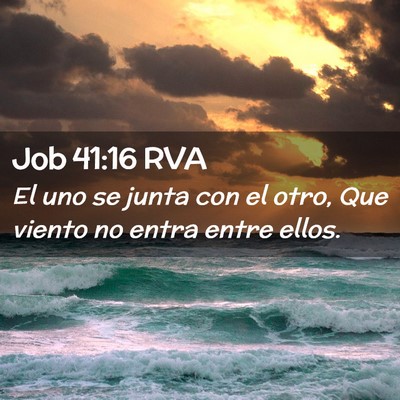 Picture 02 - Job 41:16 RVA - El uno se junta con el otro, Que viento no entra - Bible Verse Picture