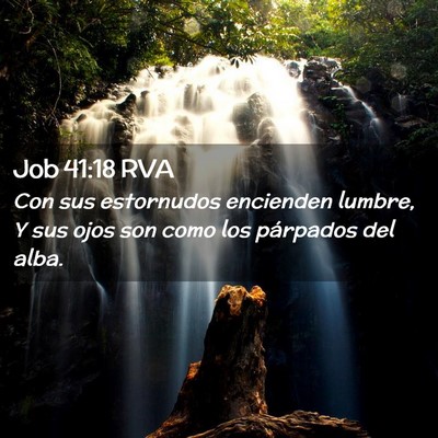 Picture 02 - Job 41:18 RVA - Con sus estornudos encienden lumbre, Y sus ojos - Bible Verse Picture