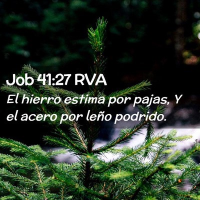 Picture 02 - Job 41:27 RVA - El hierro estima por pajas, Y el acero por leño - Bible Verse Picture