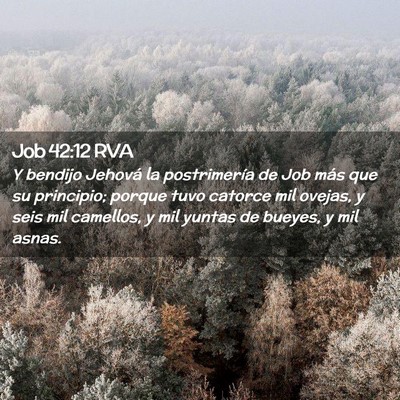 Picture 02 - Job 42:12 RVA - Y bendijo Jehová la postrimería de Job más que - Bible Verse Picture