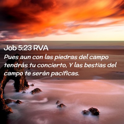 Picture 02 - Job 5:23 RVA - Pues aun con las piedras del campo tendrás tu - Bible Verse Picture