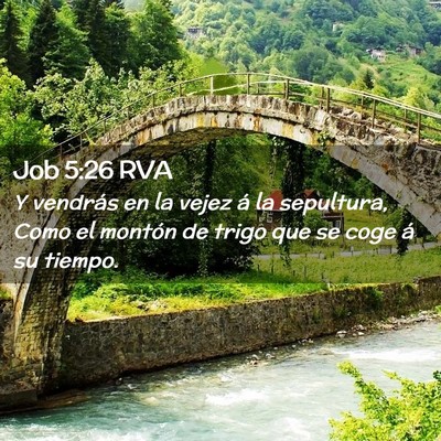 Picture 02 - Job 5:26 RVA - Y vendrás en la vejez á la sepultura, Como el - Bible Verse Picture