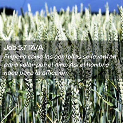 Picture 02 - Job 5:7 RVA - Empero como las centellas se levantan para volar - Bible Verse Picture