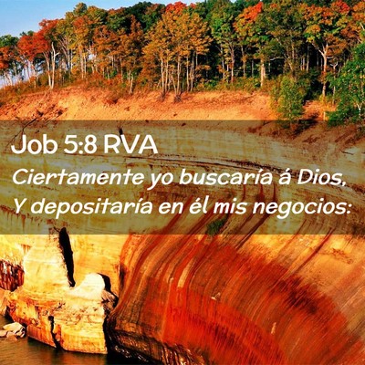 Picture 02 - Job 5:8 RVA - Ciertamente yo buscaría á Dios, Y depositaría - Bible Verse Picture