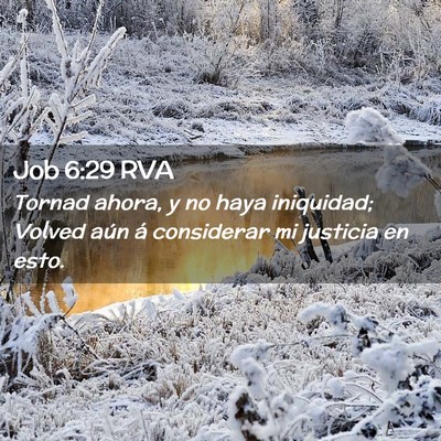 Picture 02 - Job 6:29 RVA - Tornad ahora, y no haya iniquidad; Volved aún á - Bible Verse Picture