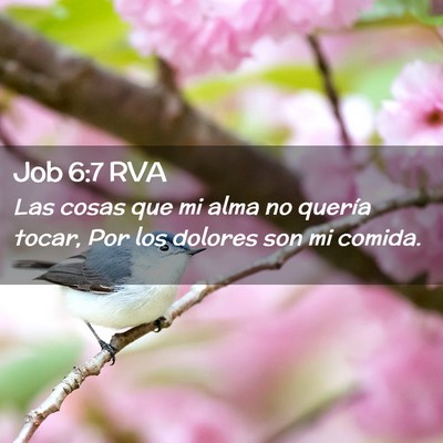 Picture 02 - Job 6:7 RVA - Las cosas que mi alma no quería tocar, Por los - Bible Verse Picture