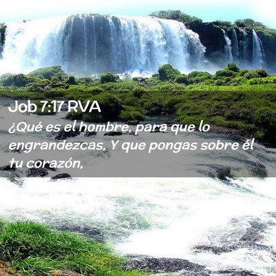 Picture 02 - Job 7:17 RVA - ¿Qué es el hombre, para que lo engrandezcas, Y - Bible Verse Picture