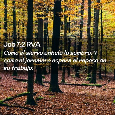 Picture 02 - Job 7:2 RVA - Como el siervo anhela la sombra, Y como el - Bible Verse Picture